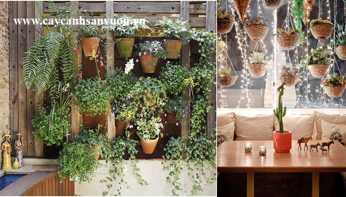 tường cây đẹp